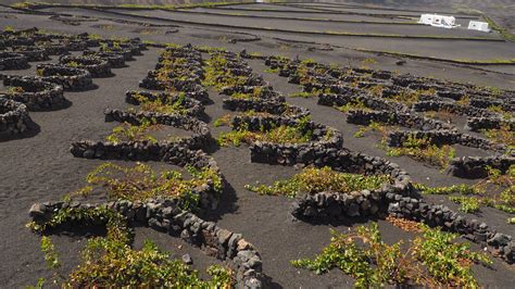 wine tours in lanzarote